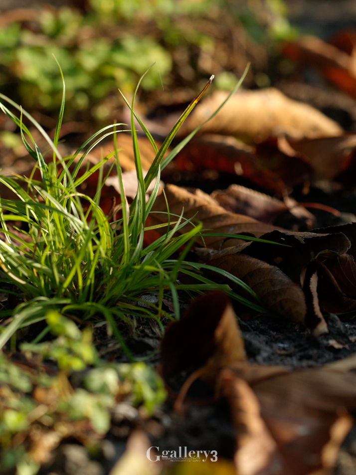 _A180500_E500_150.jpg