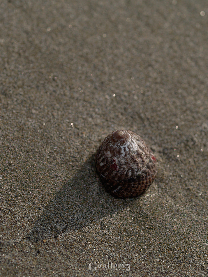 _A190691_E500_50.jpg