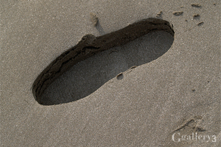_A190693_E500_50m.jpg