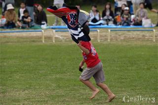 _A253751_E-500_50-200m.jpg