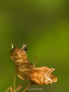 _B024059-3m.jpg