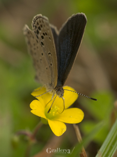_B024066-3m.jpg