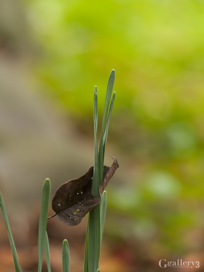 _B024121-3.jpg