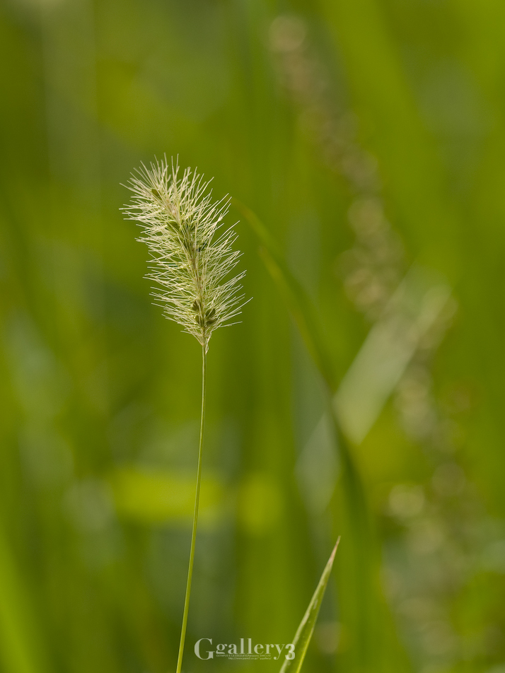 _B024160-3.jpg