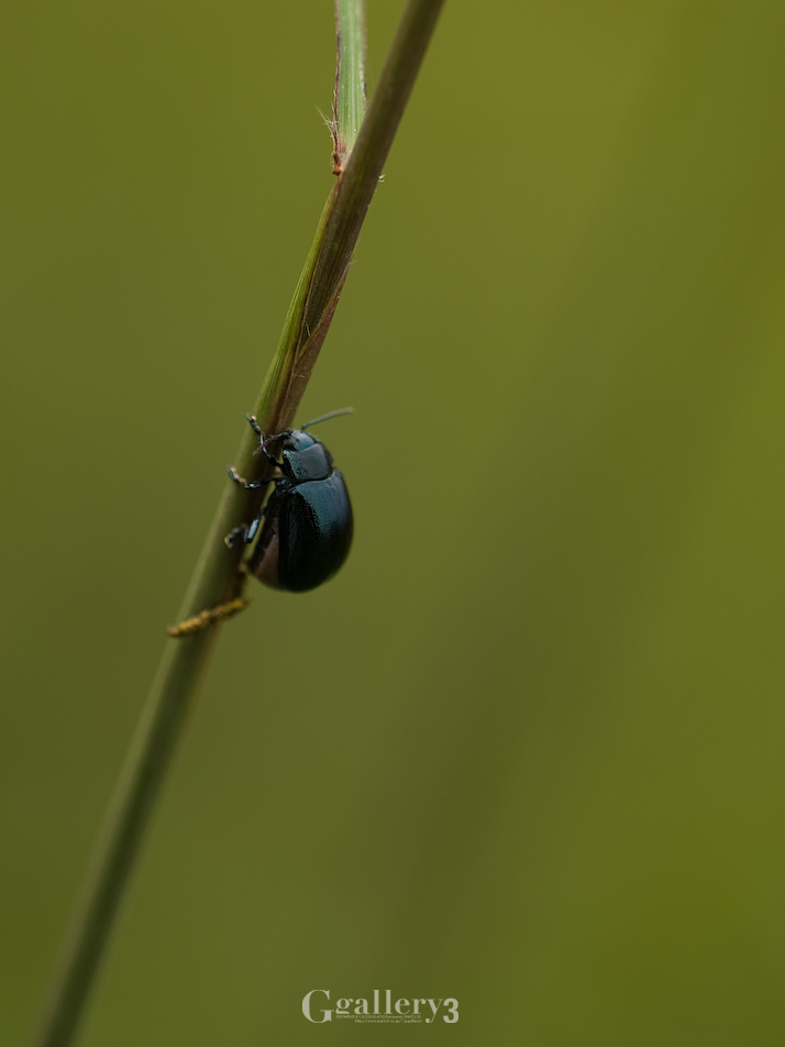 _B024202-3.jpg