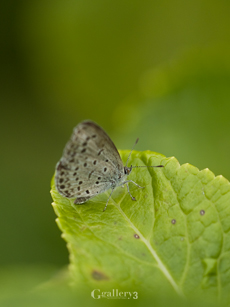 _B024263-3m.jpg