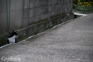 _B094781-201m.jpg
