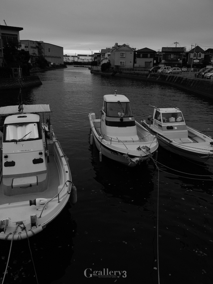_B094830-201.jpg