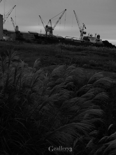 _B094846-201m.jpg