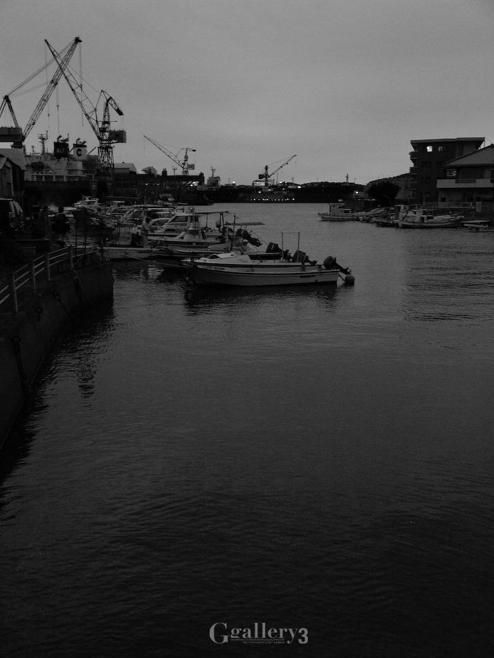 _B094855-201.jpg