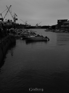 _B094855-201m.jpg