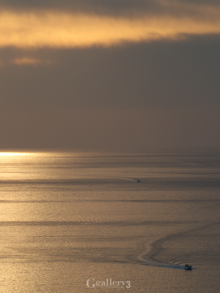 _B225539-E500_150.jpg