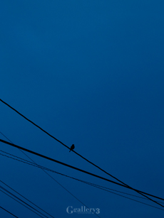_B235653-E500-50m.jpg