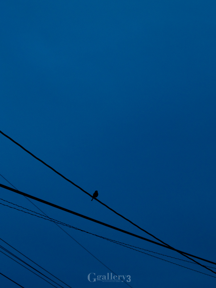 _B235653-E500_50.jpg