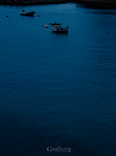 _B235667-E500_50m.jpg