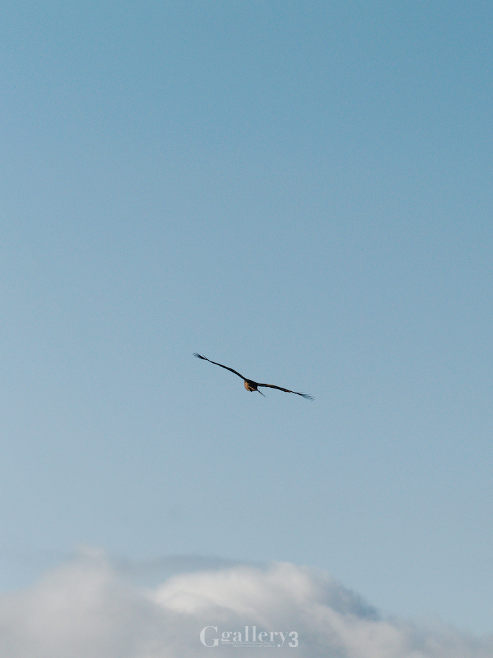 _B245738_E500_150.jpg