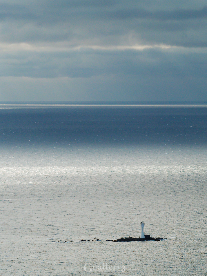 _B245794_E500_150.jpg