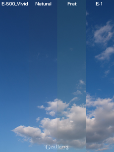 E-1_E-500_skym.jpg