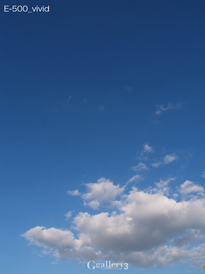 E-500_vivid.jpg