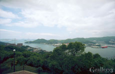 OM-10007m230.jpg