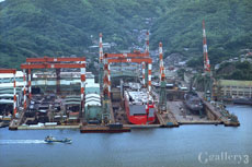 OM-10010m230.jpg