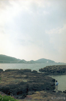 OM-10020m.jpg