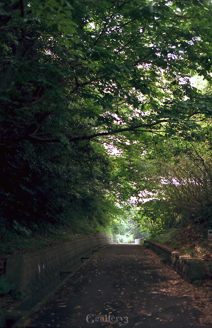 OM-1_35_E1000040.jpg