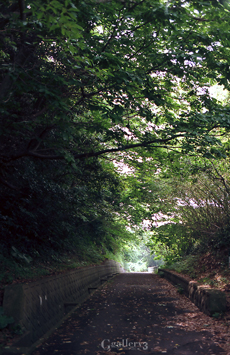 OM-1_35_E1000048m.jpg