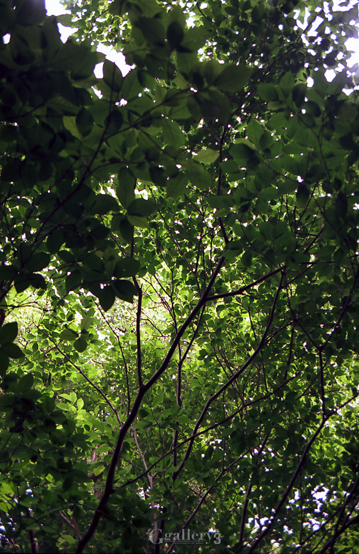 OM-1_35_E1000051.jpg
