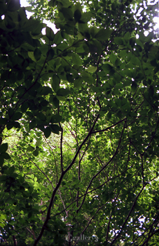 OM-1_35_E1000051m.jpg