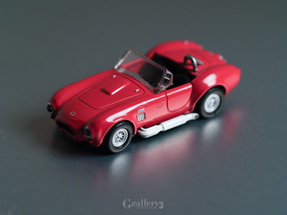 P1100214-301m.jpg