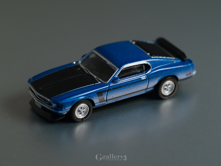 P1100226-300.jpg