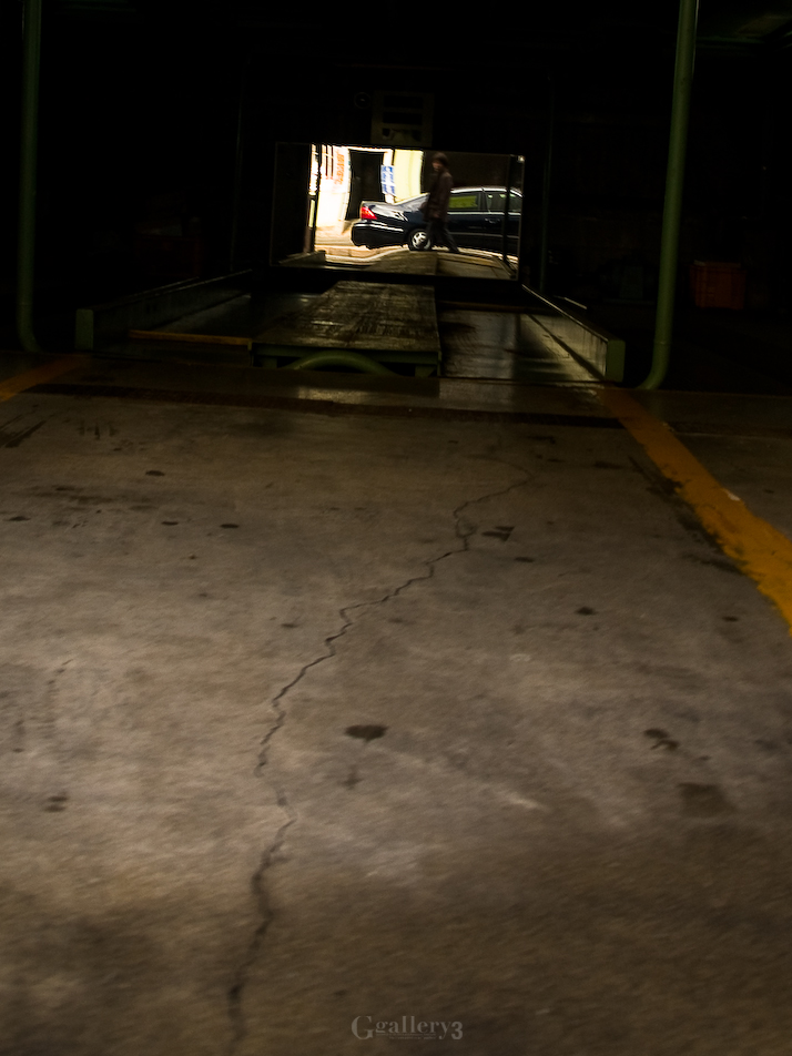 P1167590-300.jpg