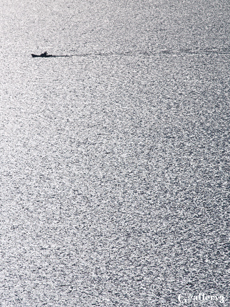 P1177646-300_50-200m.jpg
