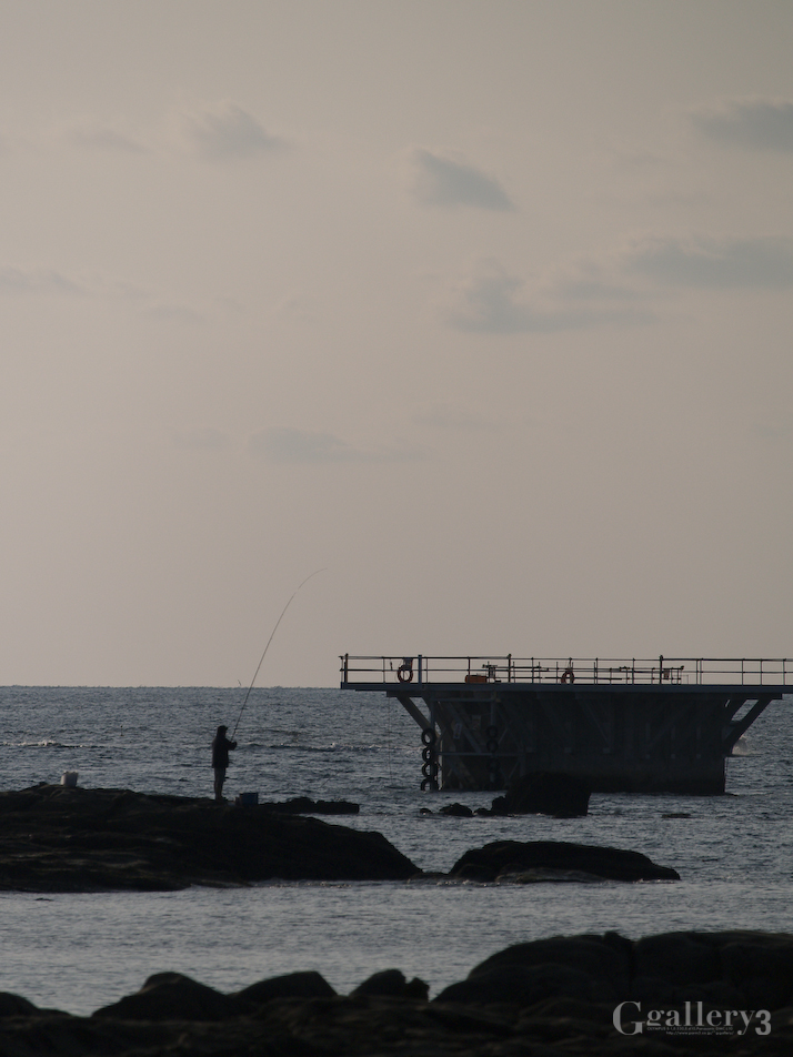 P1177672-300_50-200.jpg