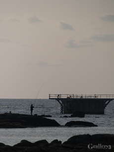 P1177672-300_50-200m.jpg