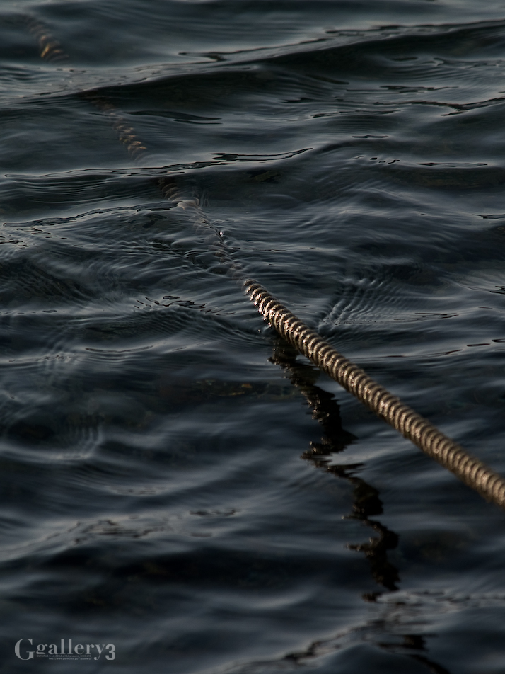 P1177762-300_50-200.jpg
