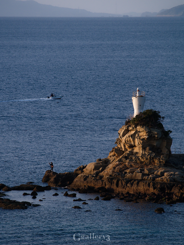 P1177886-300_50-200.jpg