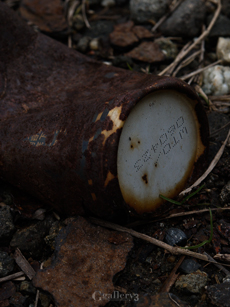 P1187981-30014-54m.jpg