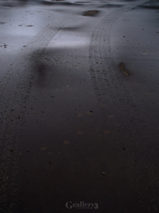 P1188022-300_14-54m.jpg