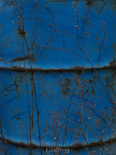 P1188065-300_14-54m.jpg