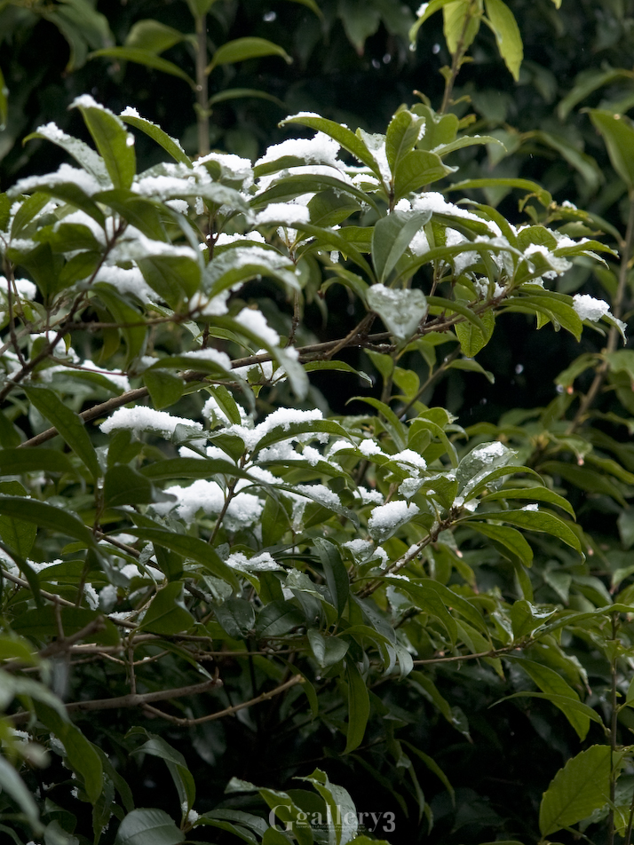 P1247589-E1_14-54.jpg