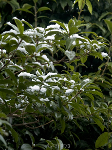 P1247589-E1_14-54m.jpg