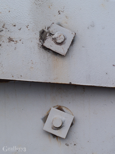P1257779-E1_50m.jpg