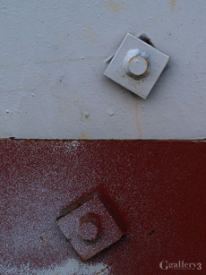 P1257783-E1_50m.jpg