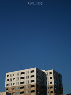 P1288240-28m.jpg