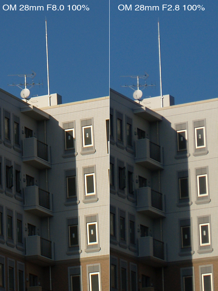 P1288250-28_80.jpg