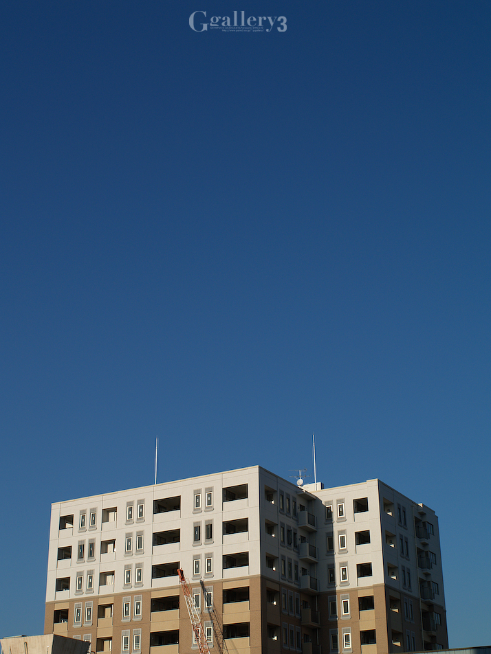 P1288250-80.jpg