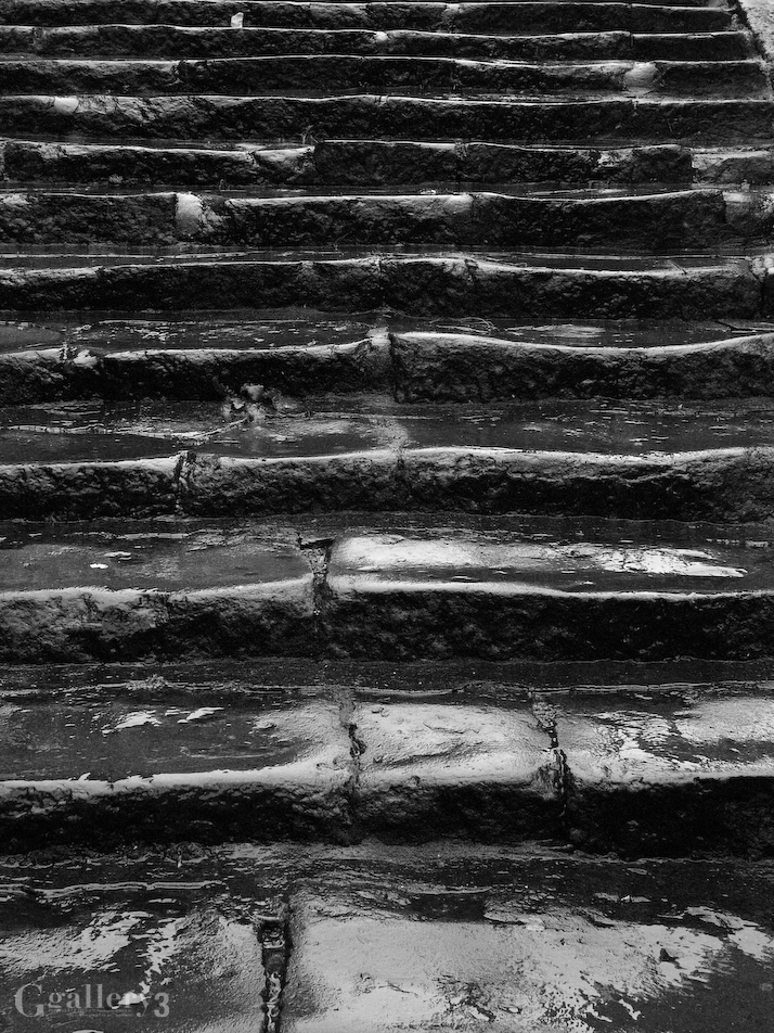 P1308486-32817.jpg