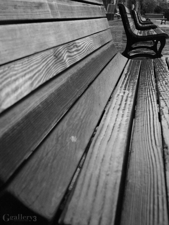 P1308528-32822.jpg
